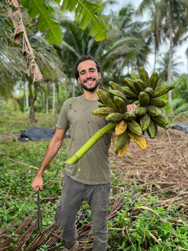 What's in Season?