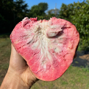 Florida Fruit Box