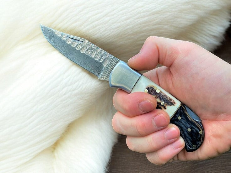 Handmade Damascus Folding Knife | Stag Horn & Rosewood