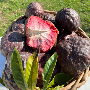 Florida Fruit Box