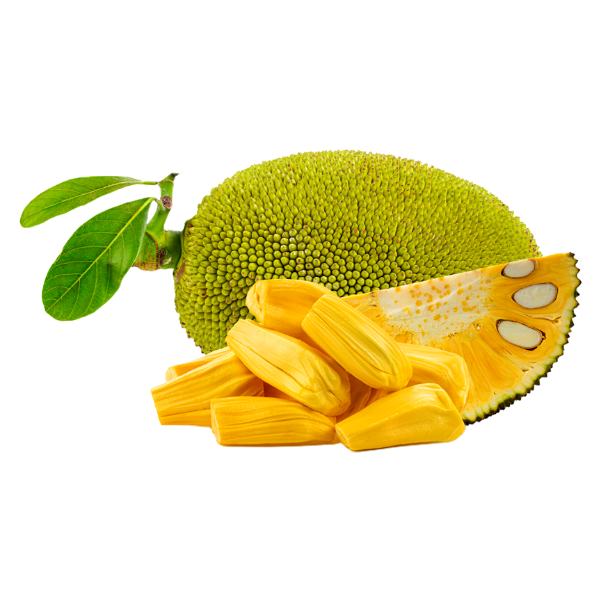 Freeze-Dried Jackfruit