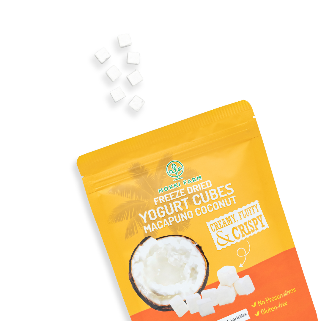 Freeze-Dried Yogurt Cubes - Macapuno Coconut