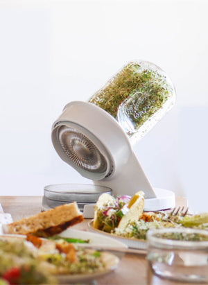 Starter Bundle: Organic High-Glucoraphanin Broccoli