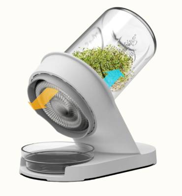 Starter Bundle: Organic High-Glucoraphanin Salad Mix