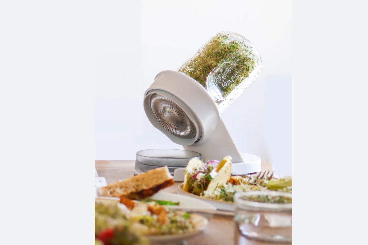 Starter Bundle: Organic Broccoli 8oz
