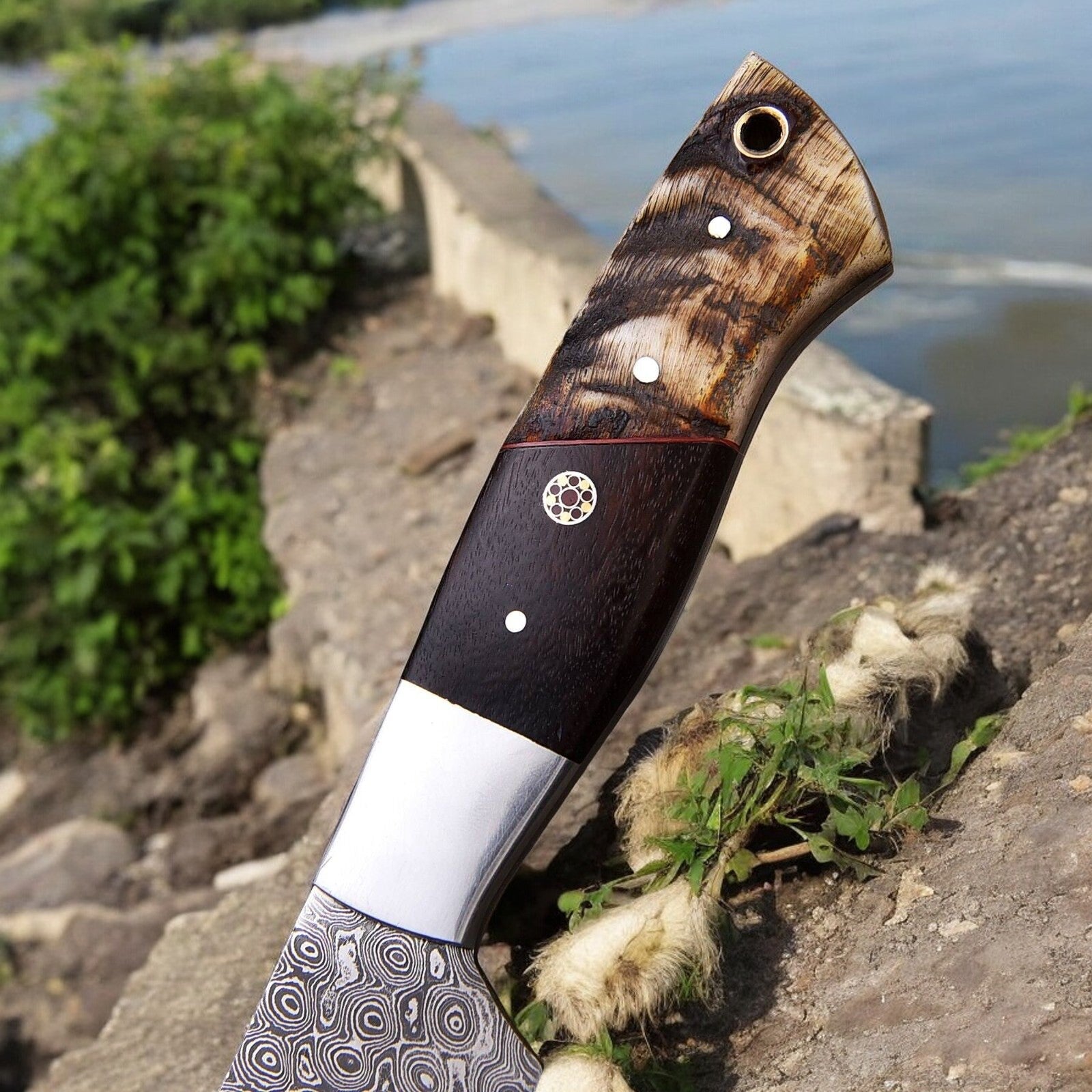 Handmade Damascus Hunting Knife | Sheep Horn & Rosewood