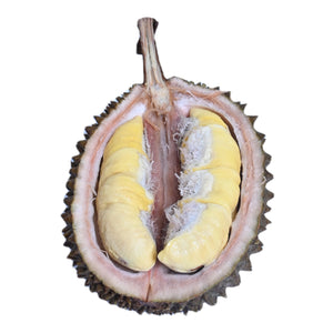 Durian Musang King Fresh Frozen