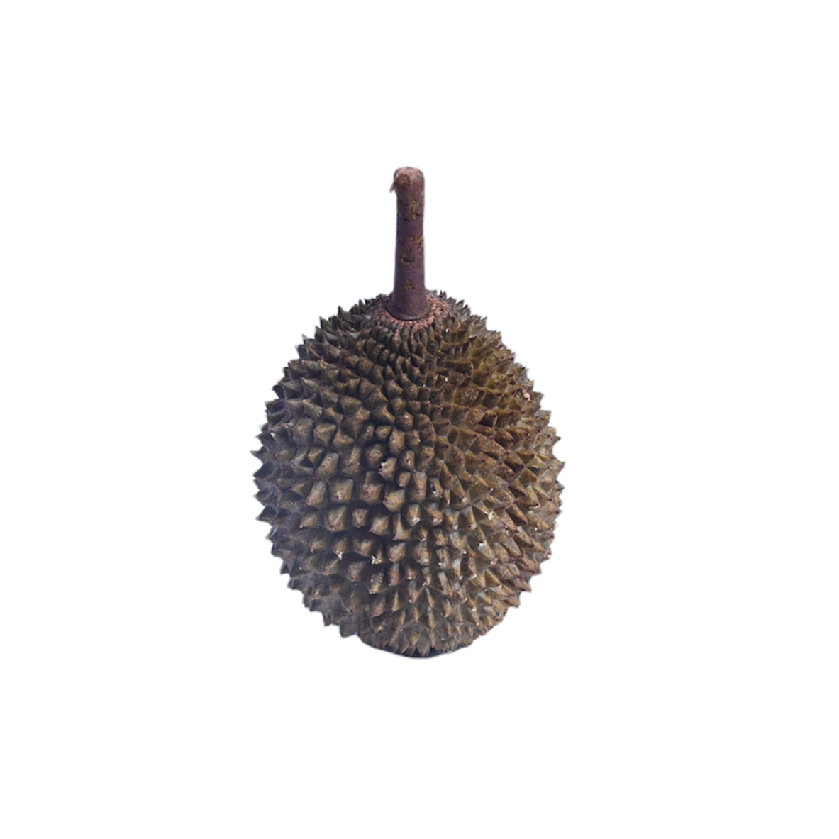 Durian Musang King Fresh Frozen