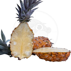 PREORDER* Florida Pineapple