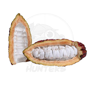 PREORDER* Fresh Cacao (Chocolate)
