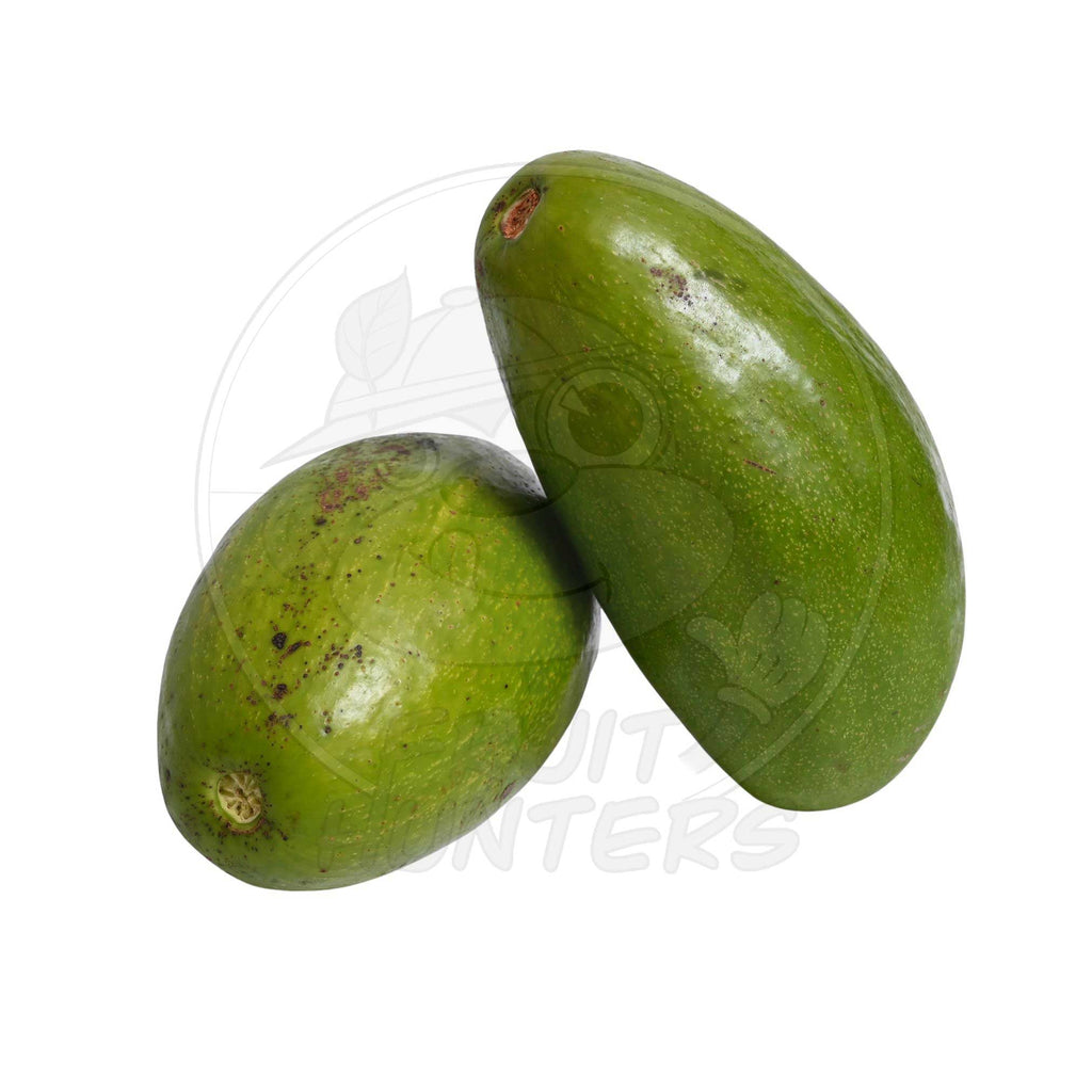 PRE ORDER Avocado