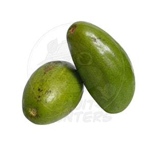 PRE ORDER Avocado
