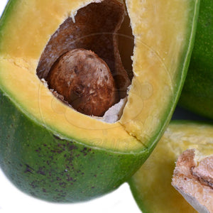 PRE ORDER Avocado