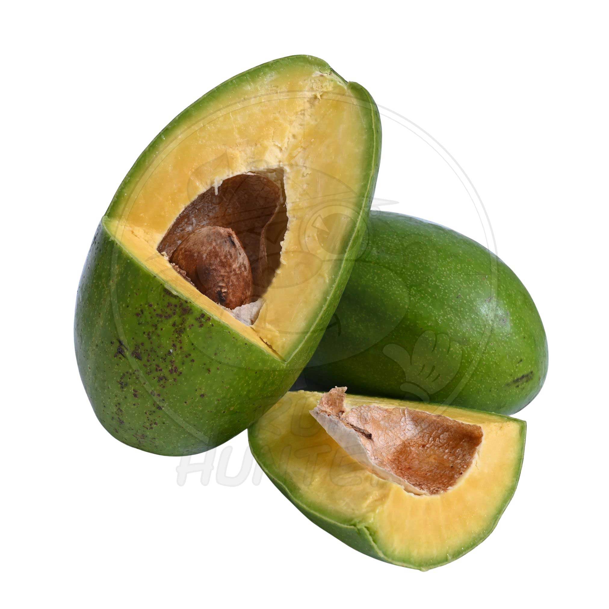 PRE ORDER Avocado