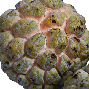PRE ORDER Sugar Apple
