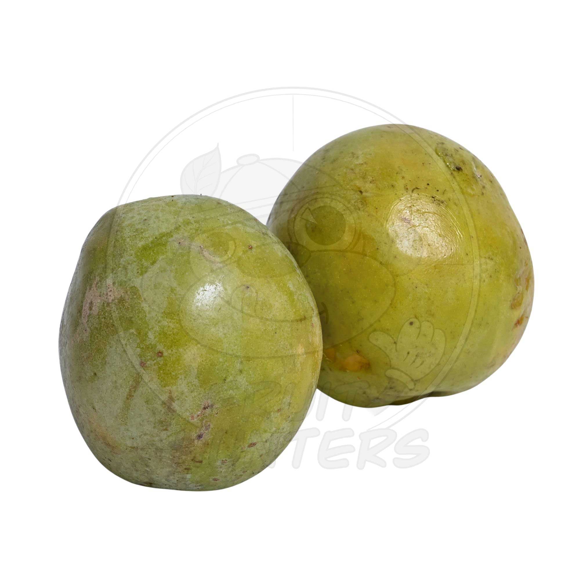 PRE-ORDER White Sapote