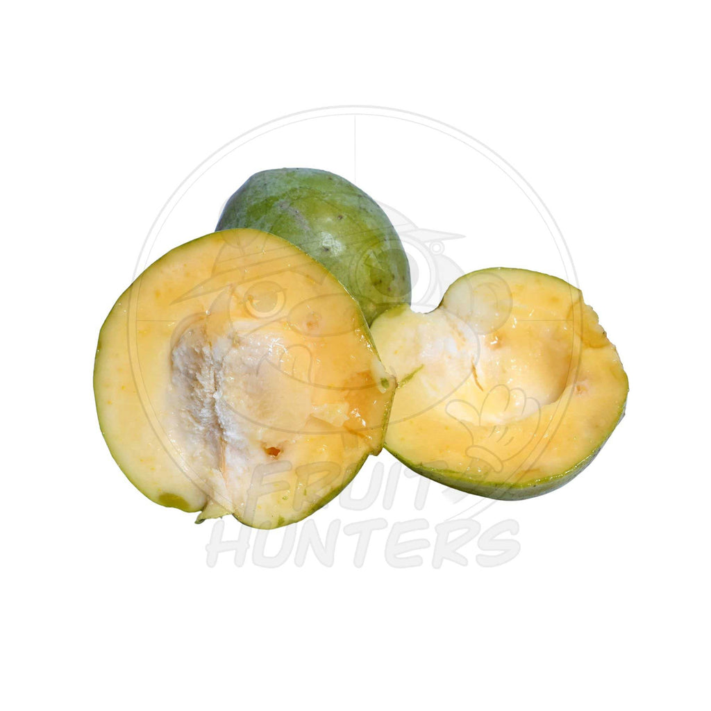 PRE-ORDER White Sapote
