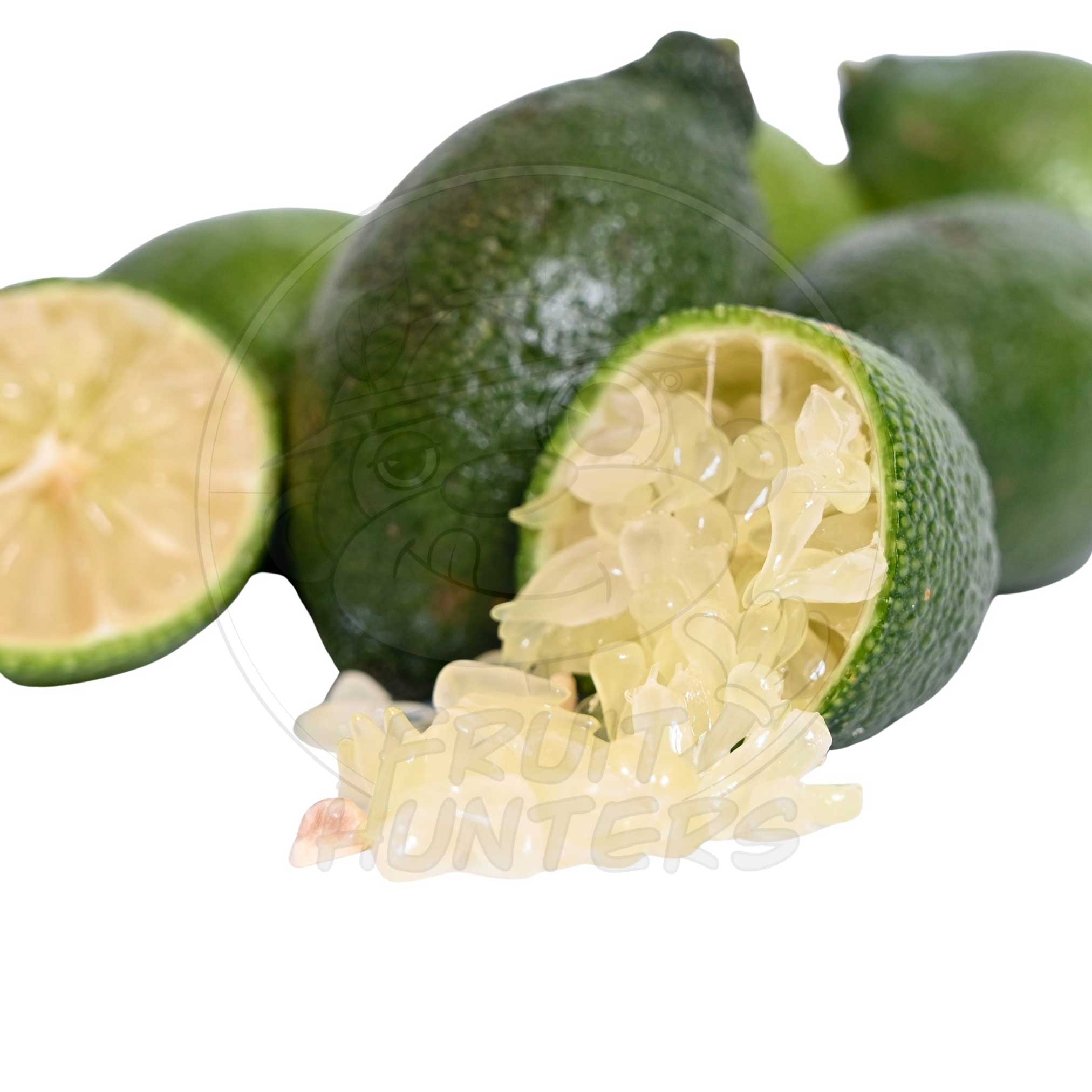 PRE ORDER Caviar Limes