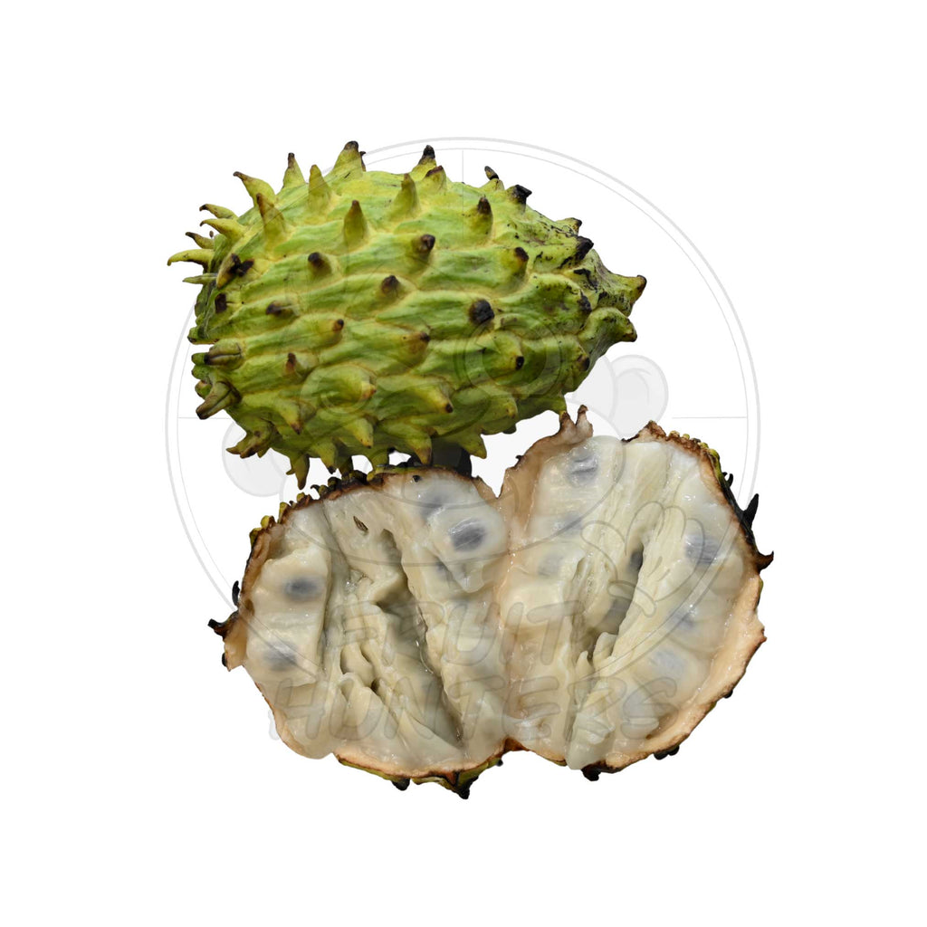 Rollinia 