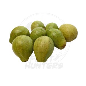 Red Guava