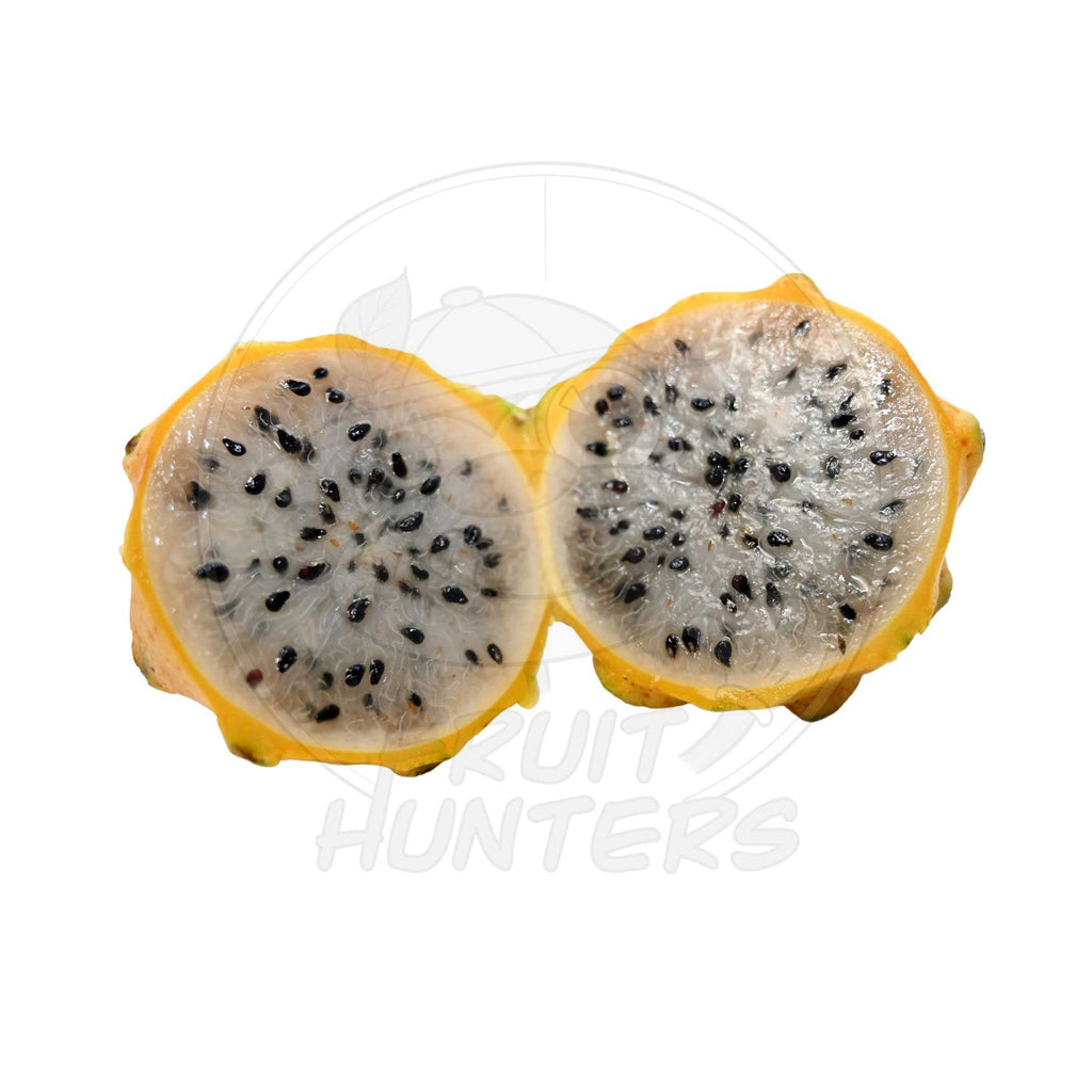 Gold Dragon Fruit