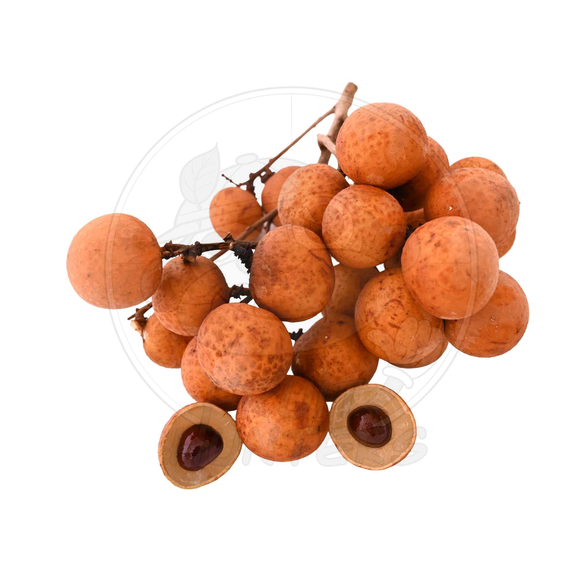 Longan