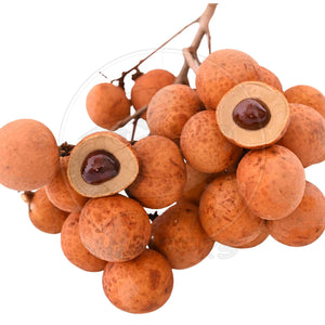 Longan