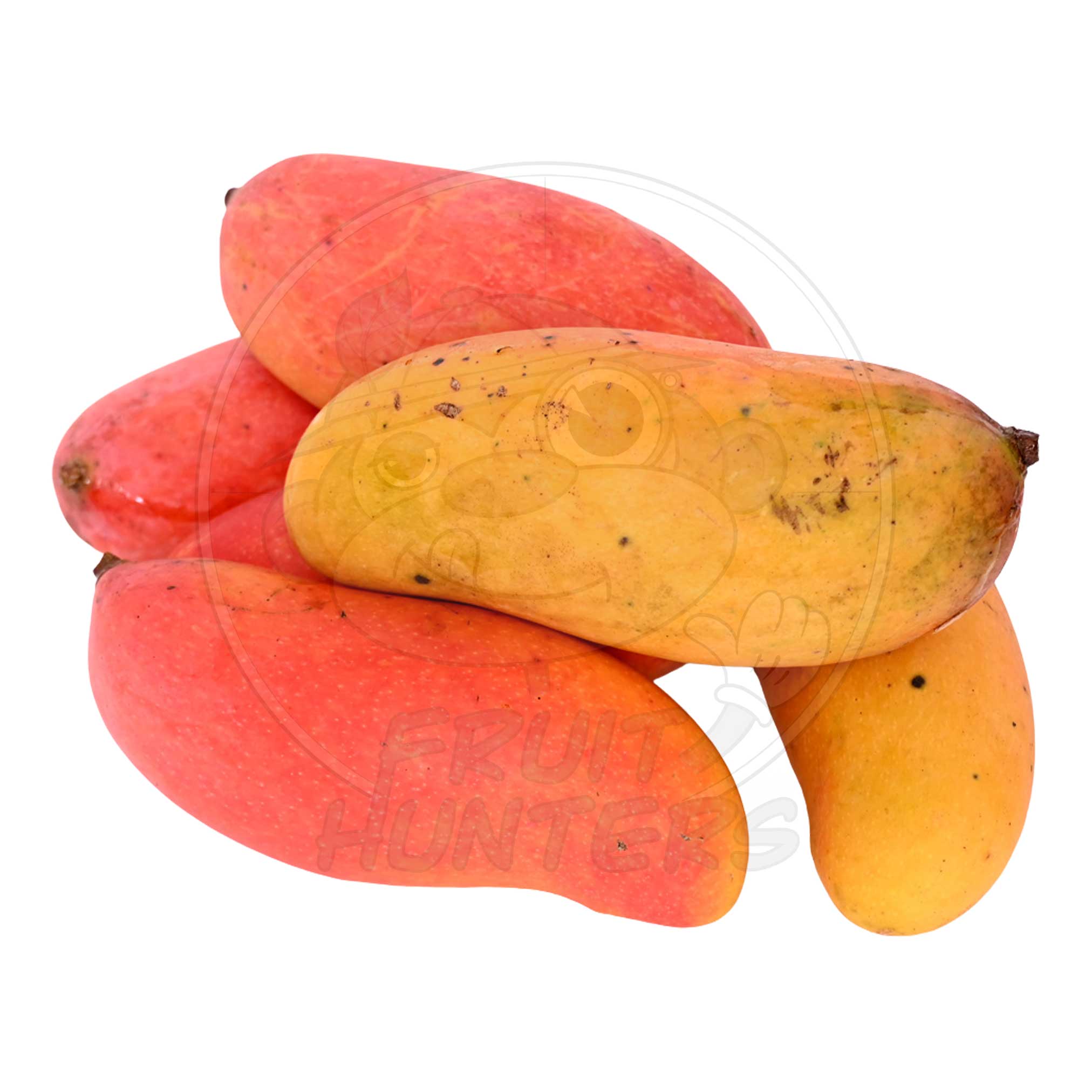 PREORDER* Florida Mango