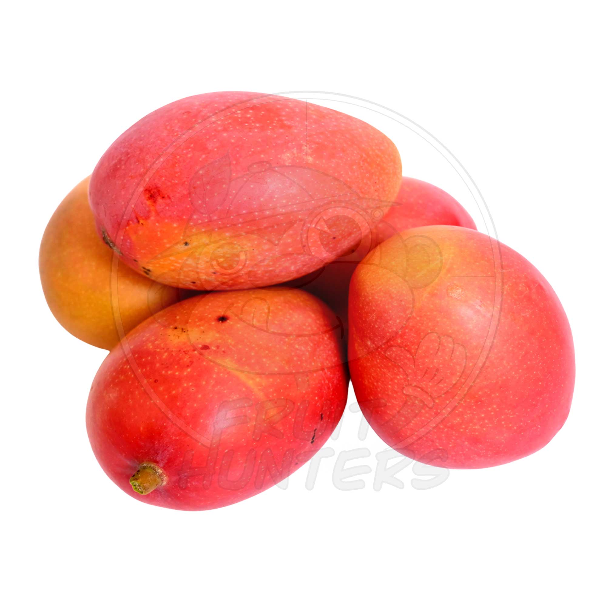 PREORDER* Florida Mango