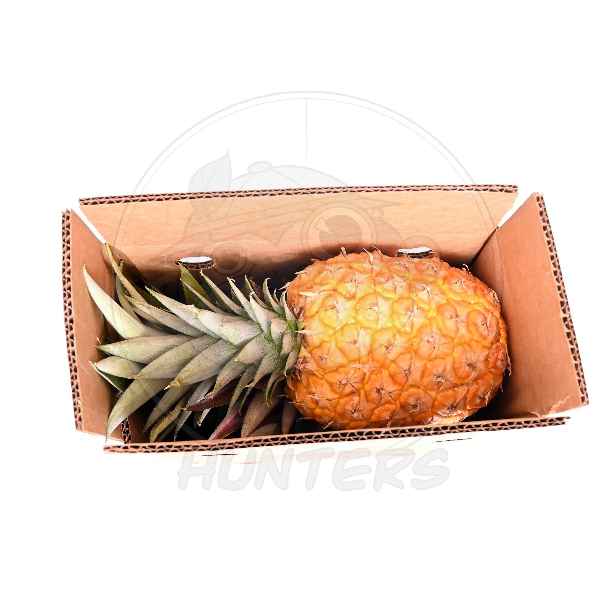 PREORDER* Florida Pineapple