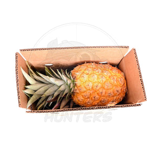 PREORDER* Florida Pineapple