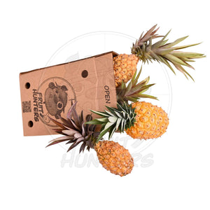 PREORDER* Florida Pineapple