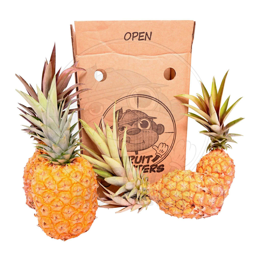 PREORDER* Florida Pineapple