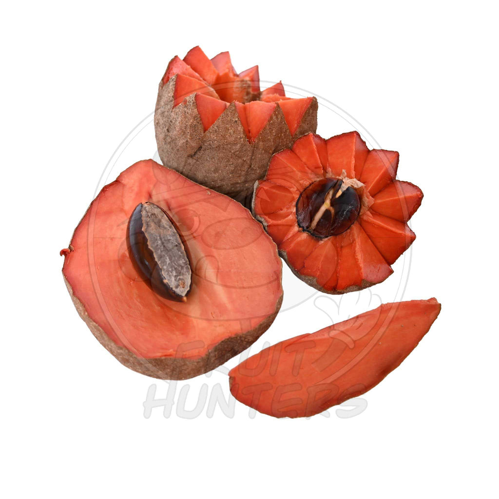 Mamey