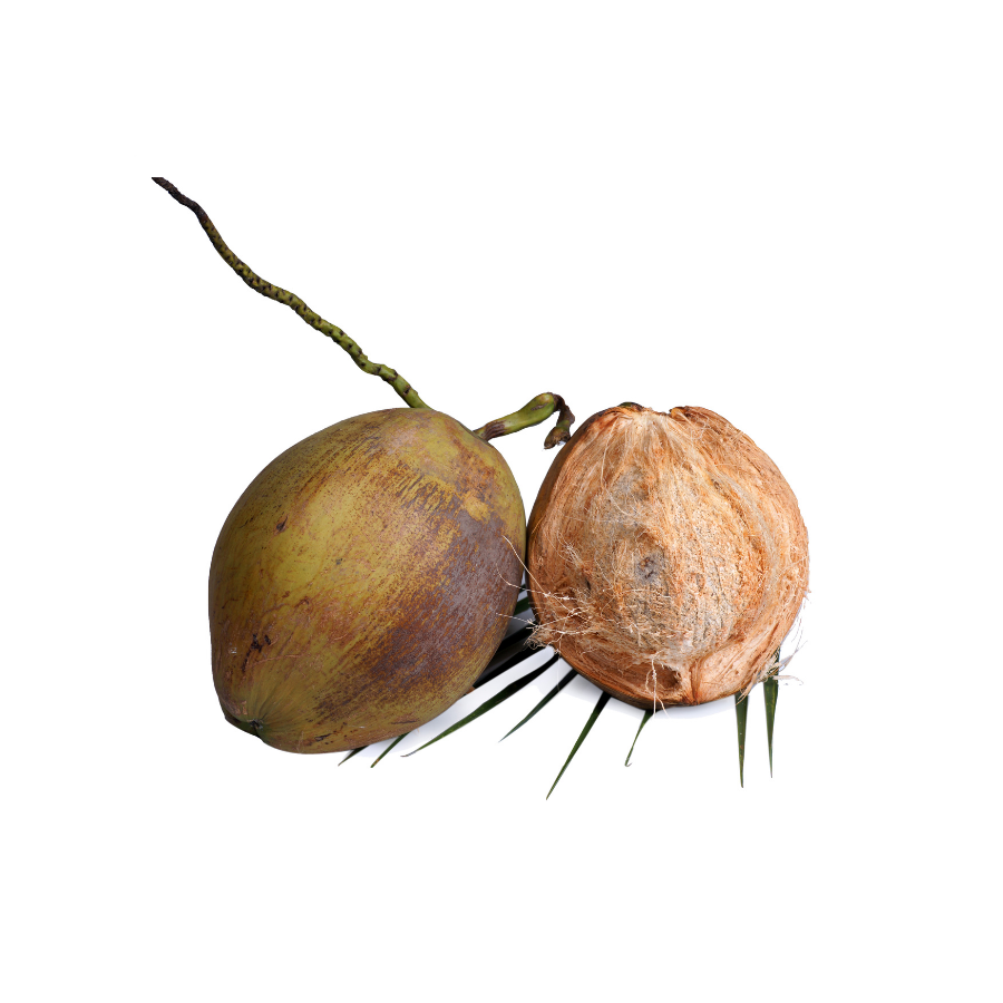 Coconuts