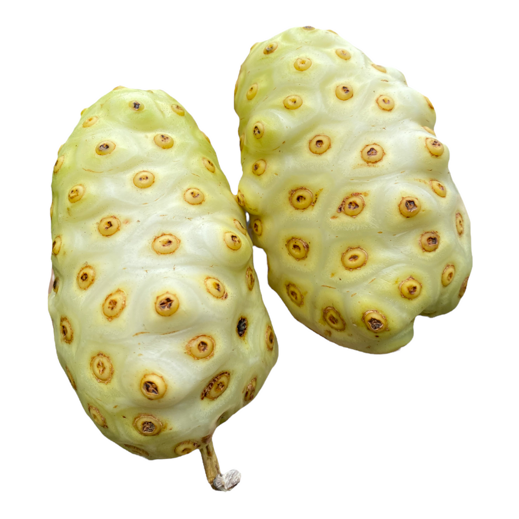 Noni Fruit