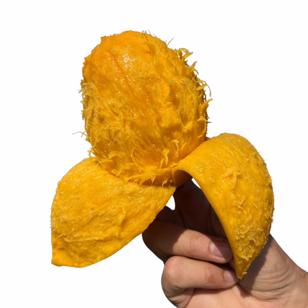 PRE-ORDER Mingolo Mango