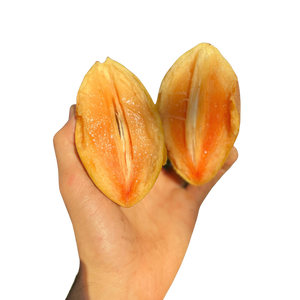 Sapodilla