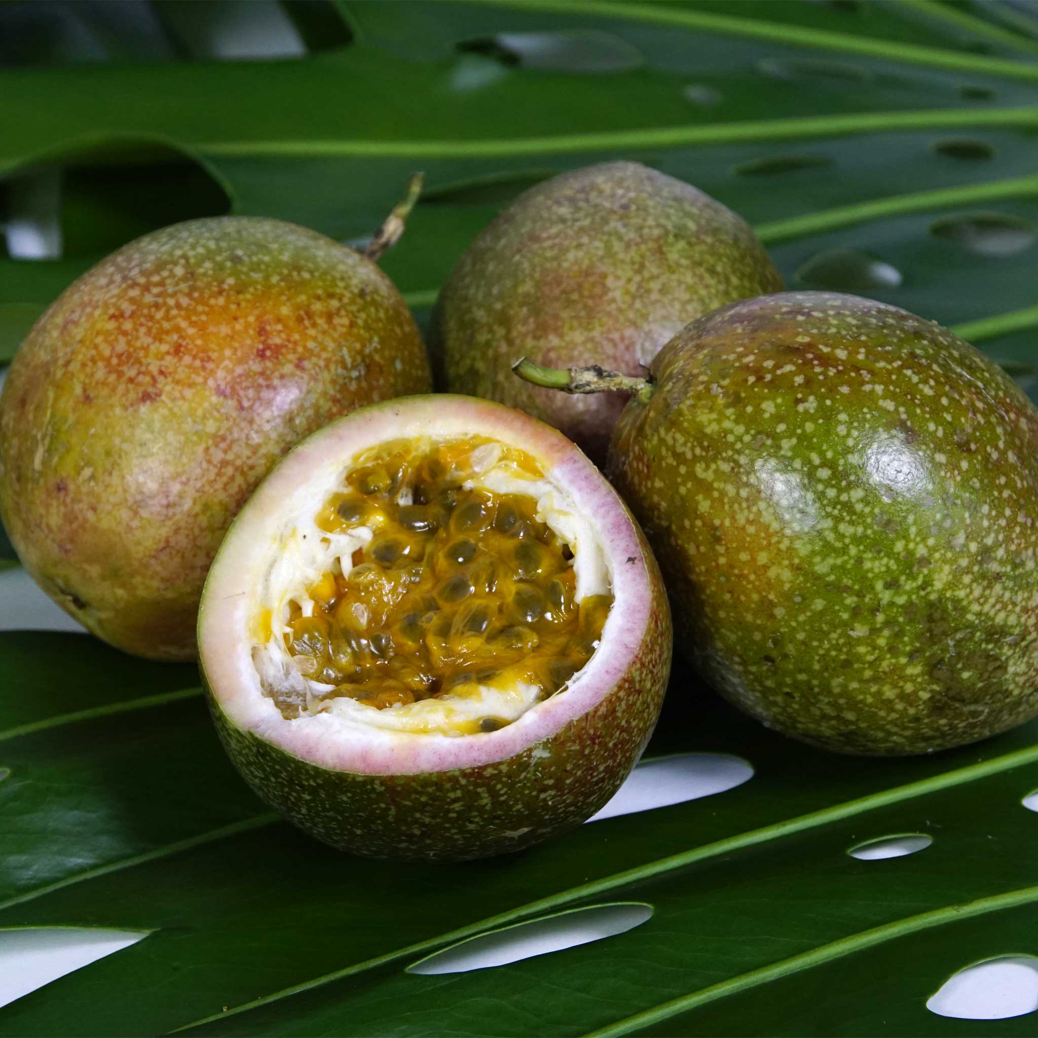 Passion Fruit