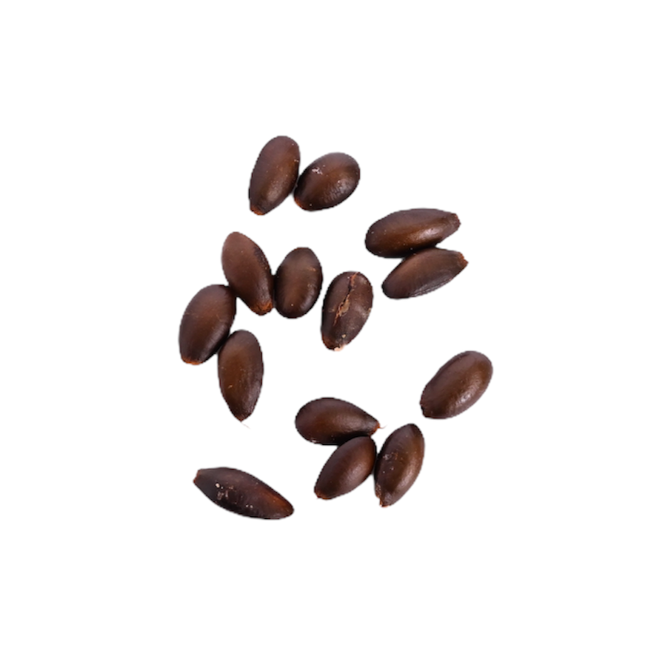 Red Custard Apple Seeds