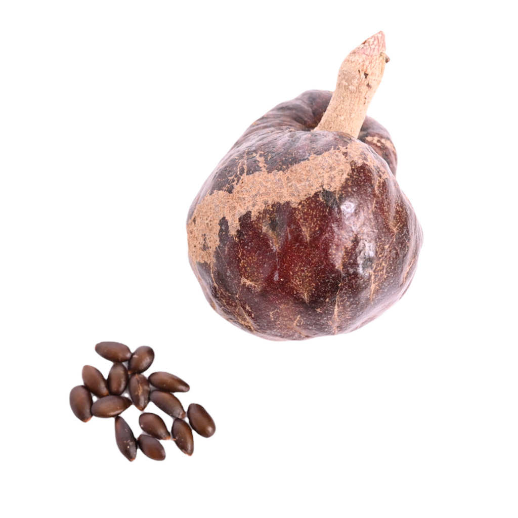 Red Custard Apple Seeds
